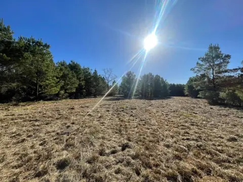 Cleared Land Ready to Build