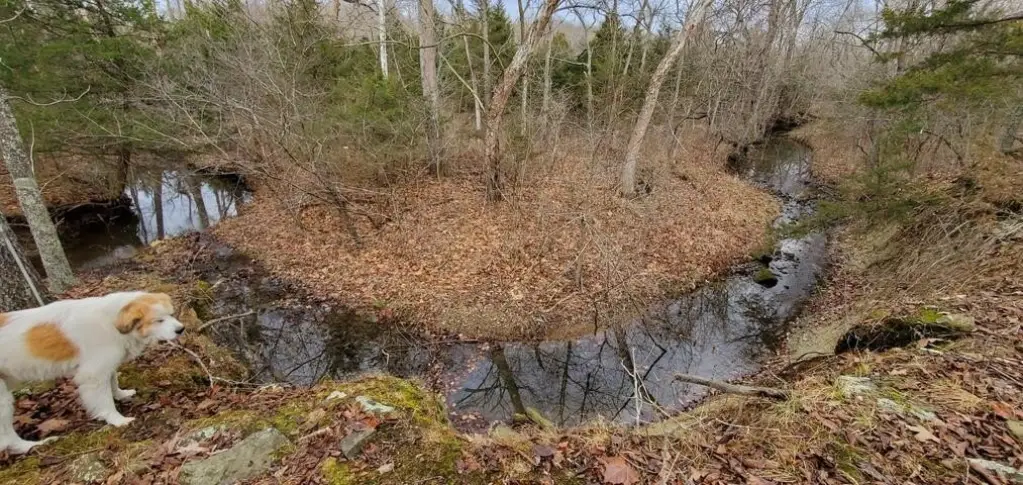 Picture 10