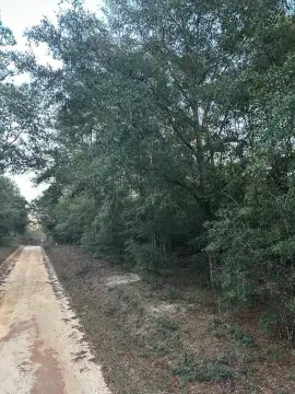 Residential Lots in Donalsonville, GA