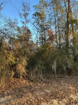 Residential Lots in Donalsonville, GA
