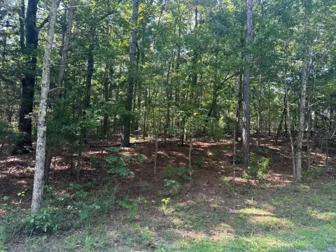 Wooded Hunting Land