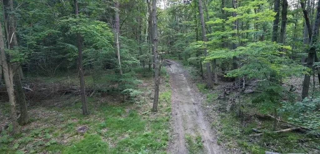 Picture 5