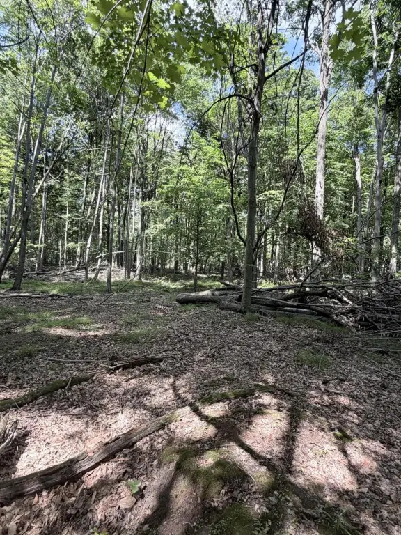 Picture 10