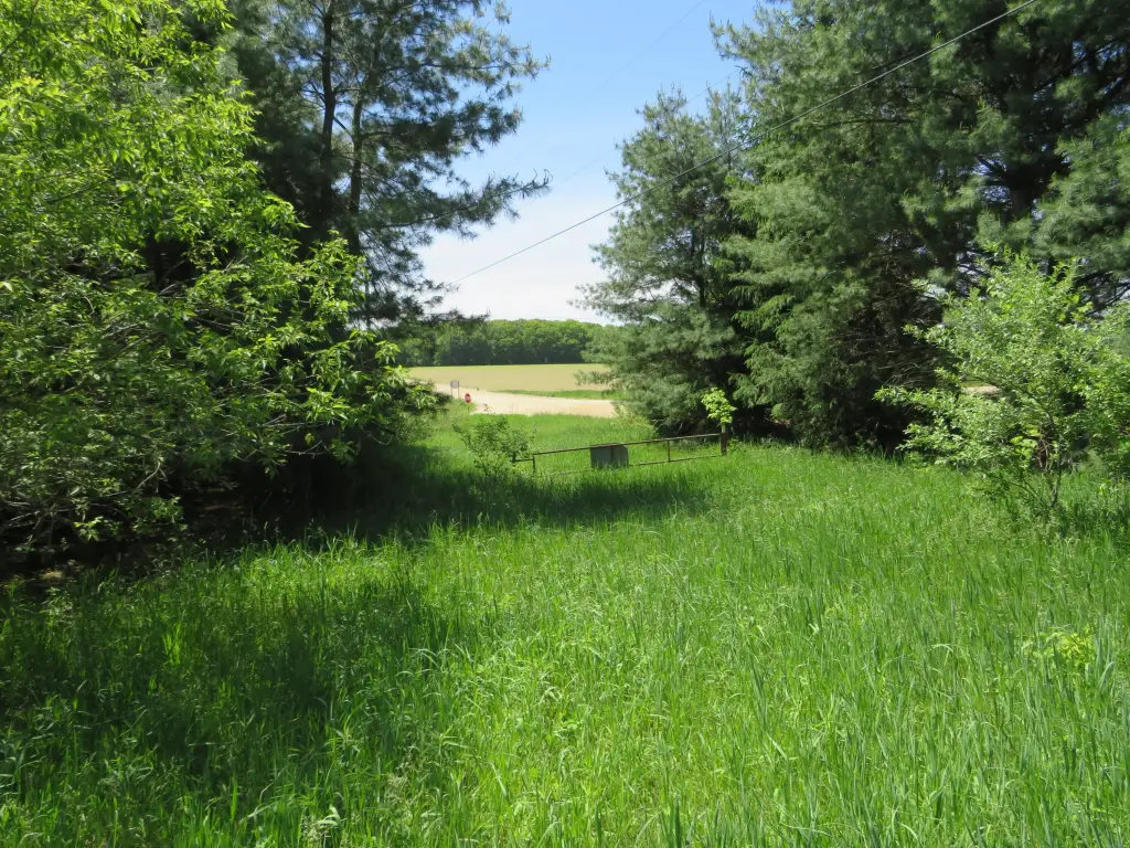Picture 29