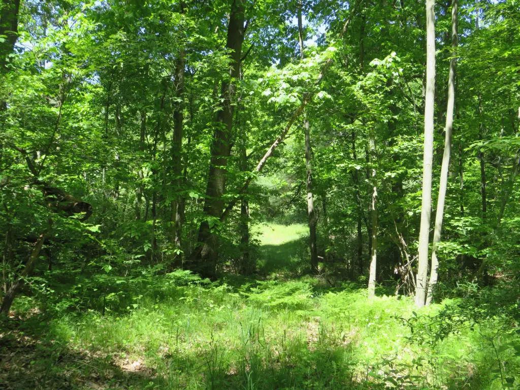 Picture 19