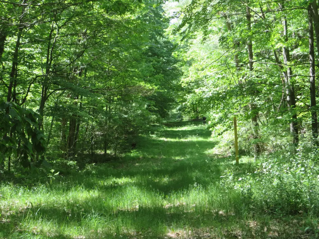 Picture 14