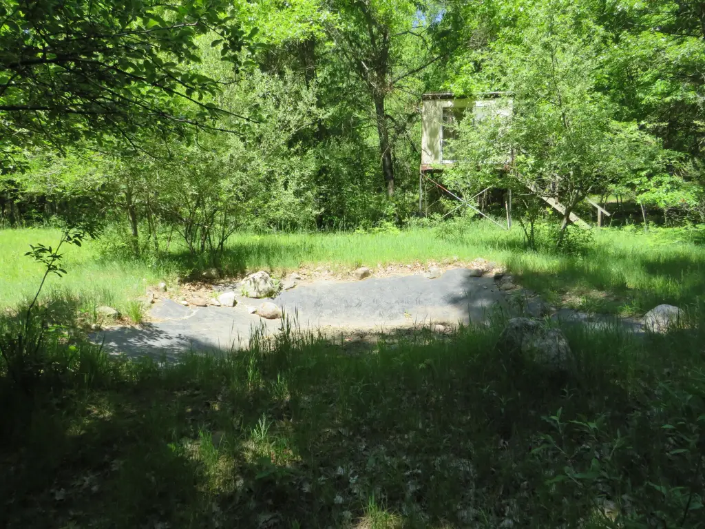 Picture 21