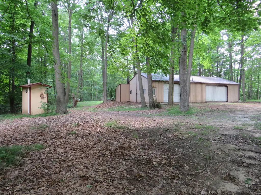 Picture 6