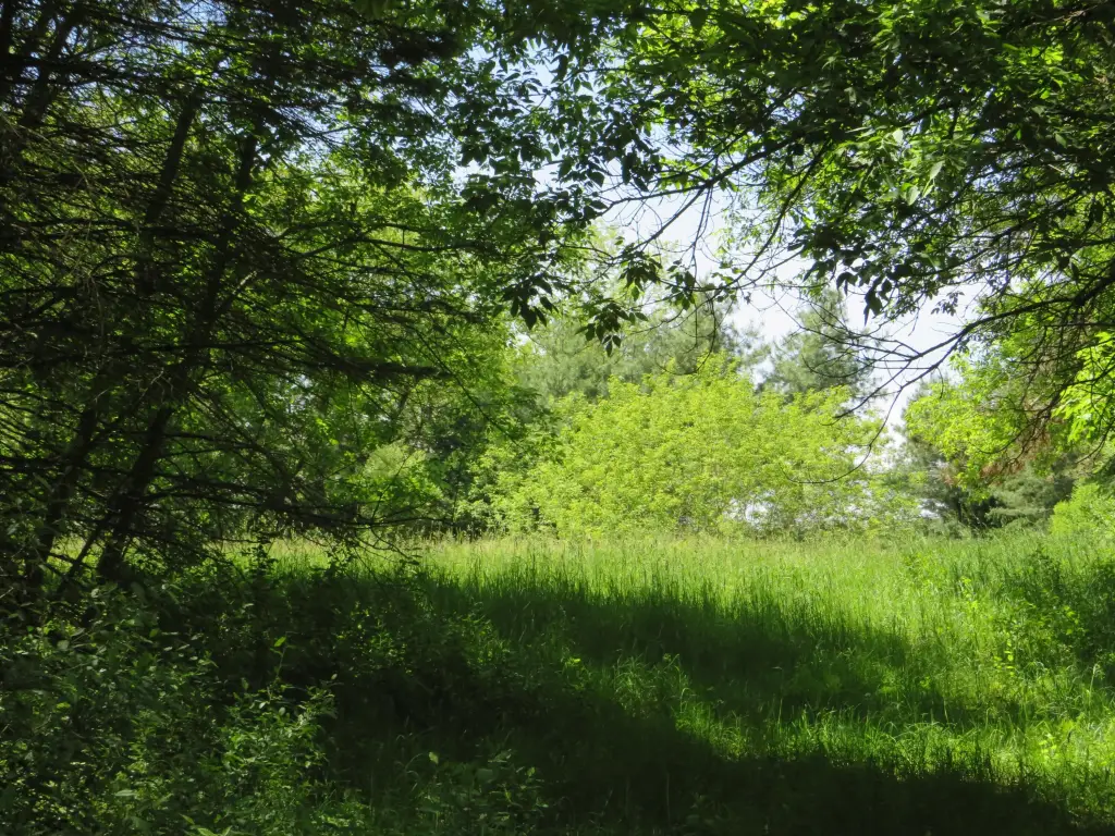 Picture 24