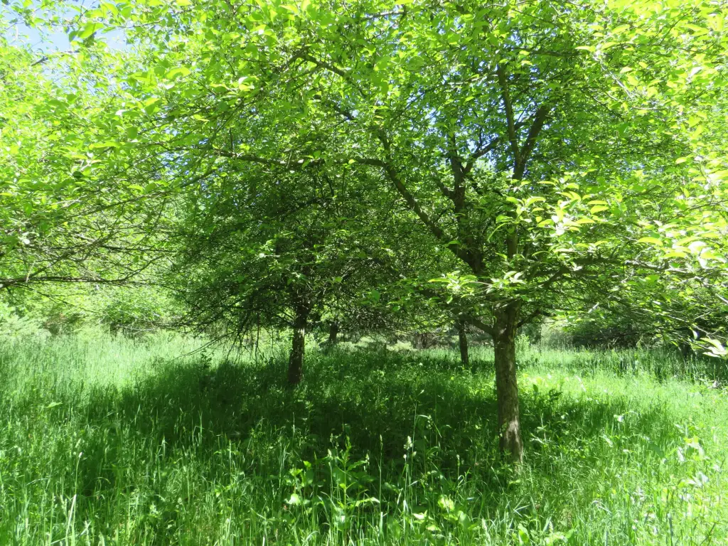 Picture 11