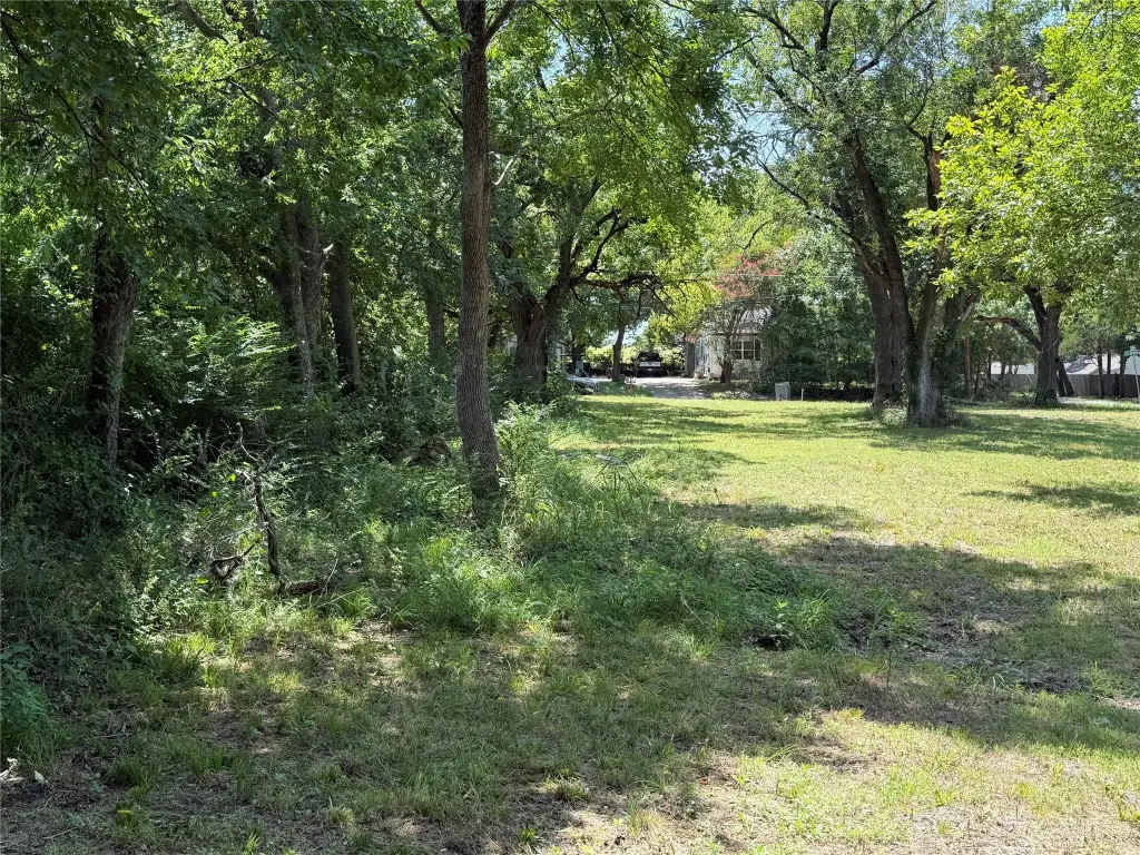 Picture 9