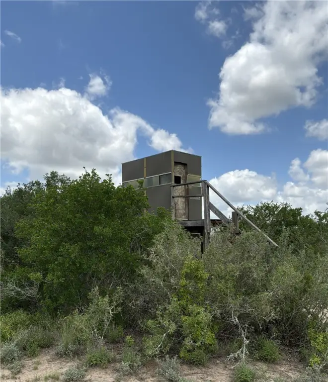 Picture 3