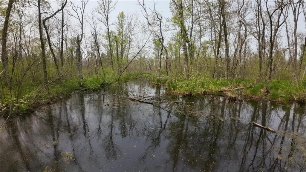 Picture 35