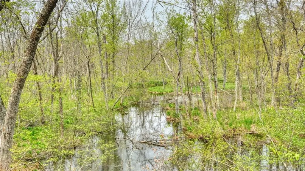Picture 33