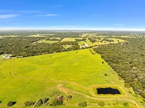 Cleared Land Near Cedar Creek