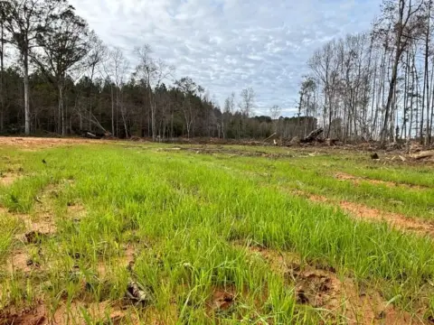 Leake County Hunting and Recreation