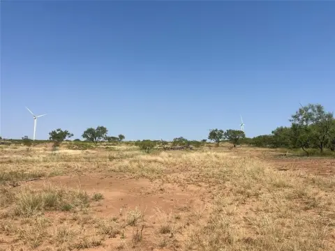 West Texas Ranch with Wildlife