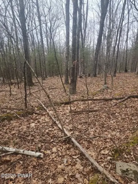 Residential Land in Hawley, PA