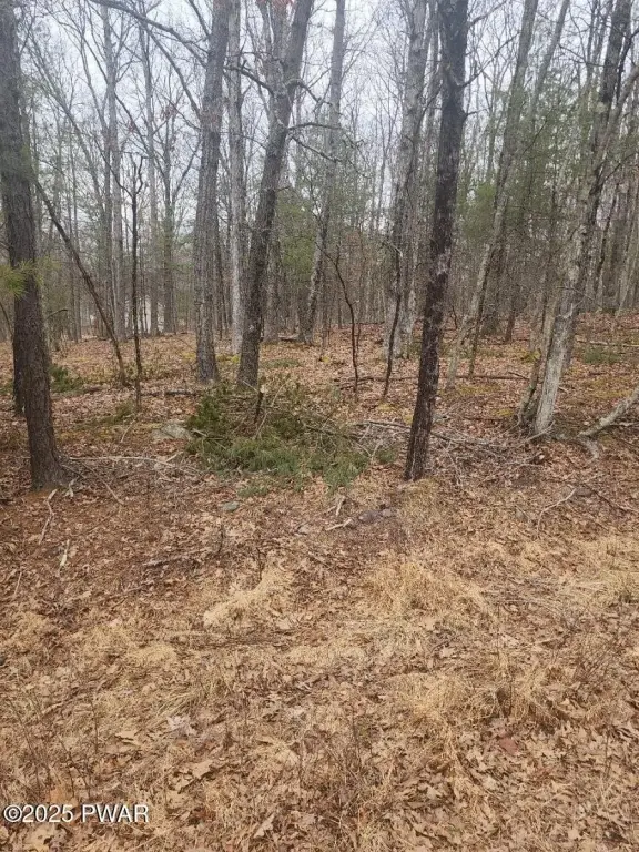 Picture 4