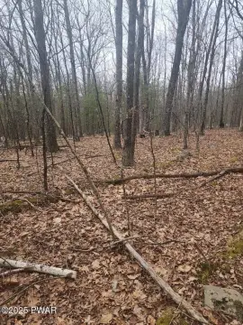 Residential Land in Hawley, PA
