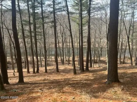 Land with River View