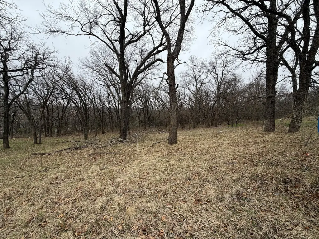 Picture 4