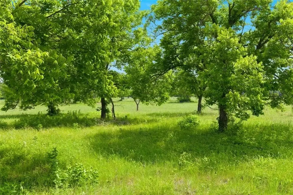 Picture 21
