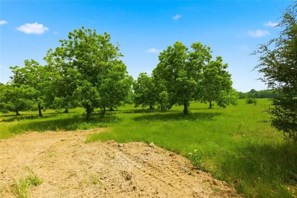 Picture 25