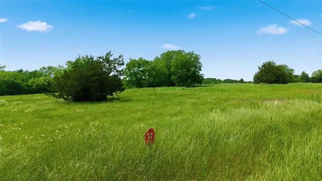 Picture 21
