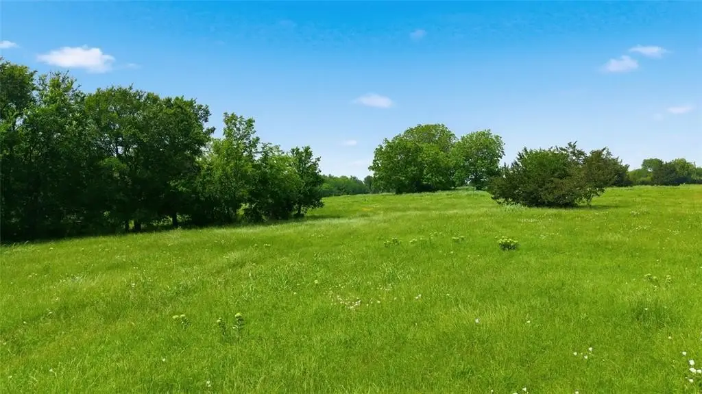 Picture 23