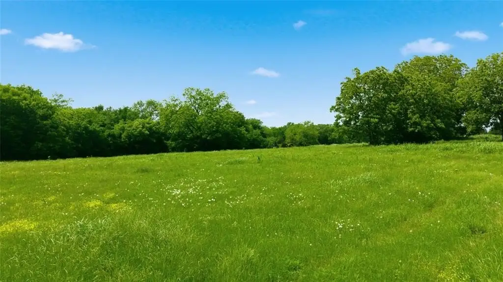 Picture 28