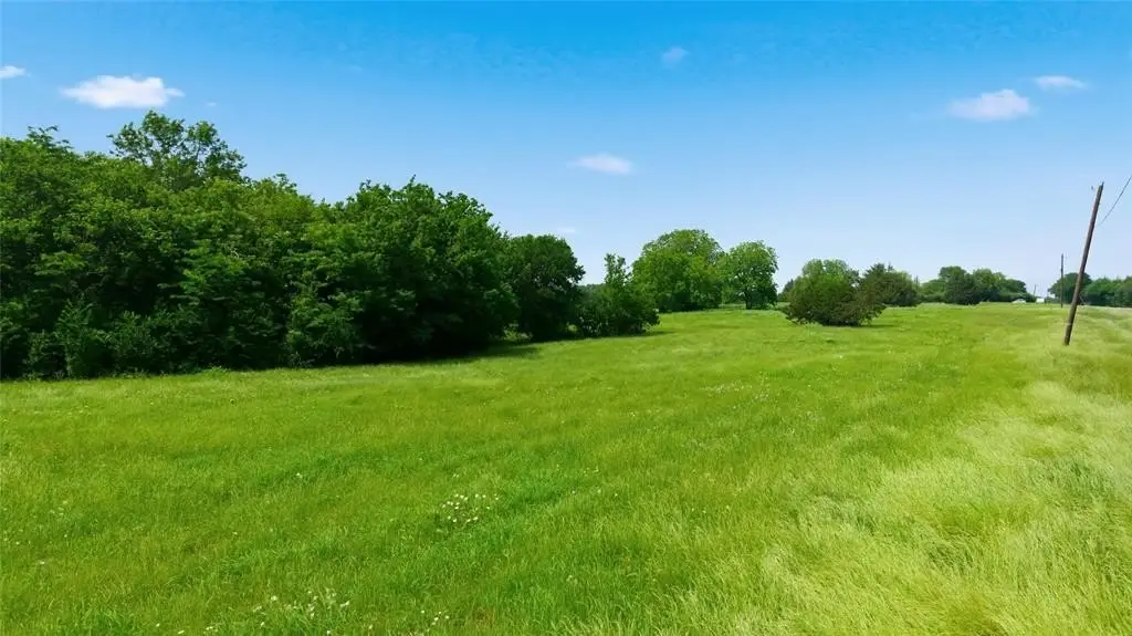 Picture 25