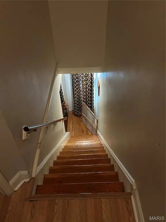 Picture 5