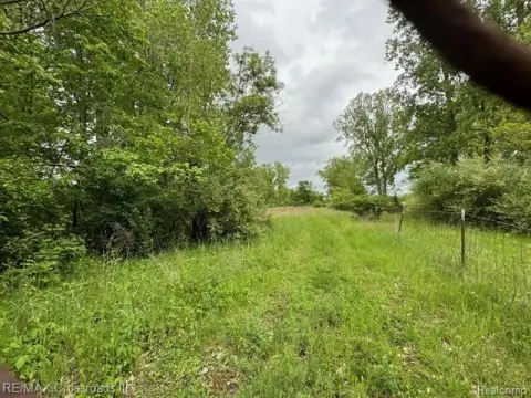 84.5 Acres Vacant Land, Ash