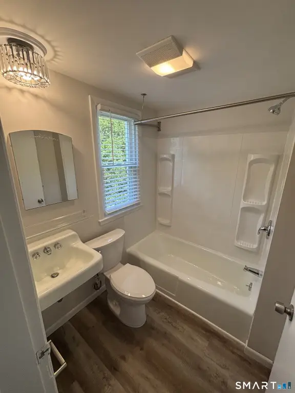 Picture 21