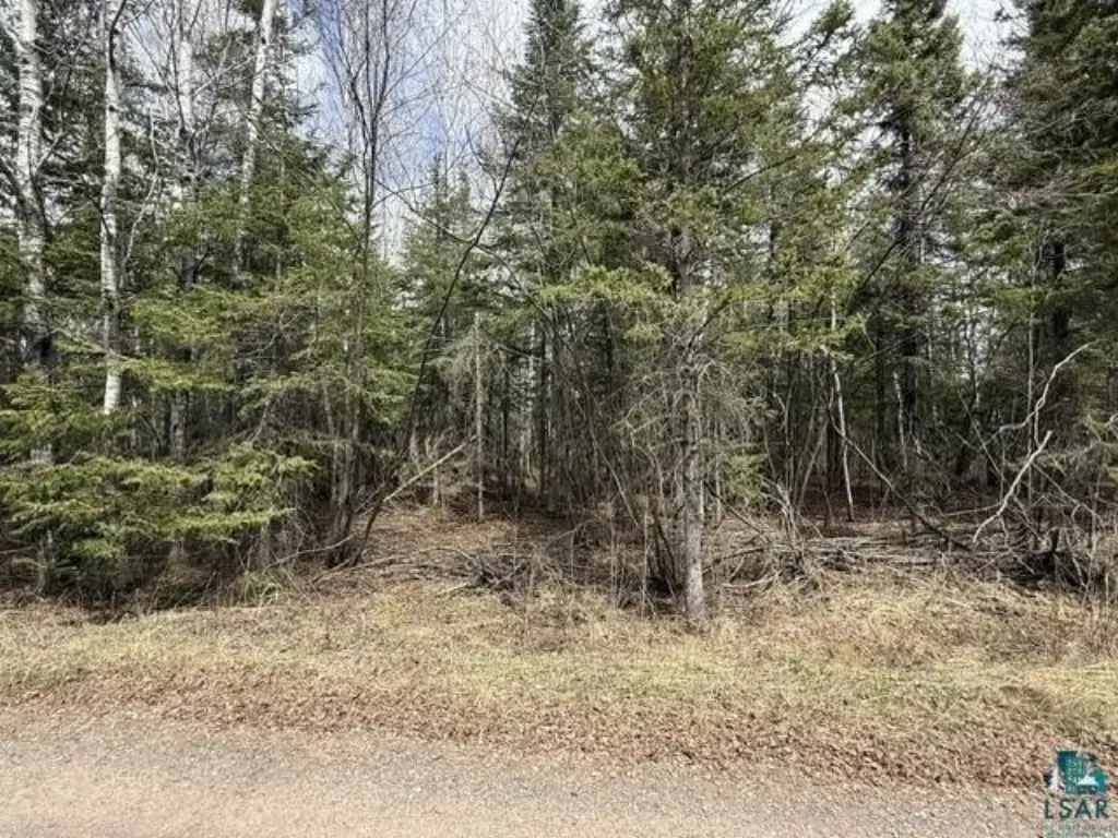 Picture 13