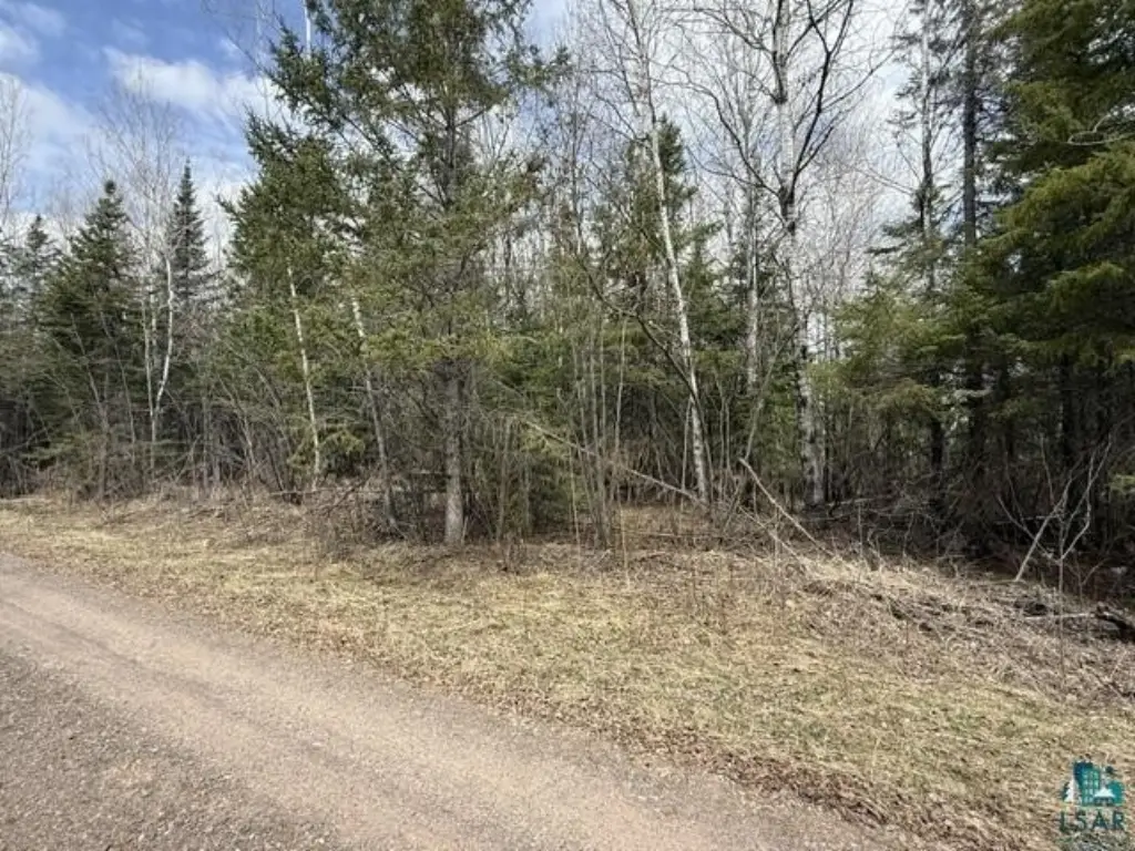 Picture 11