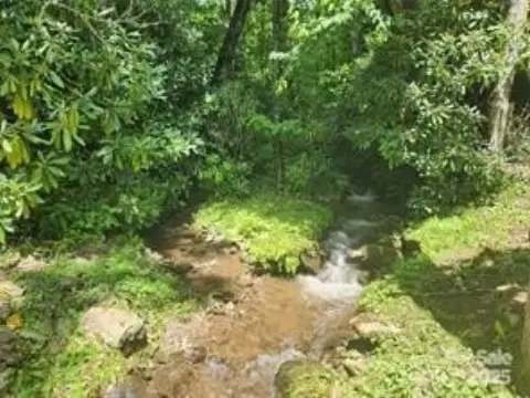 Ready-to-Build Land in Hemlock Falls