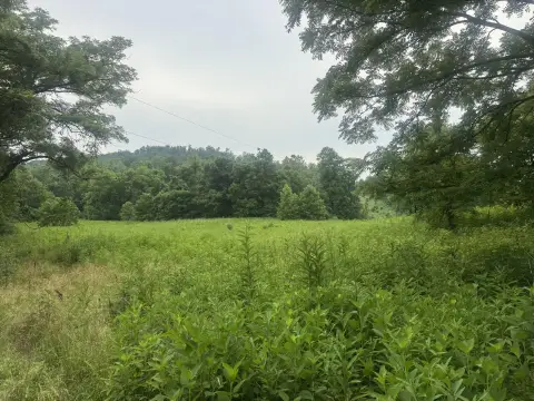 Unrestricted Acreage Near Somerset, Kentucky