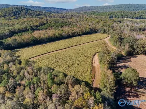 100 Acres Prime Land