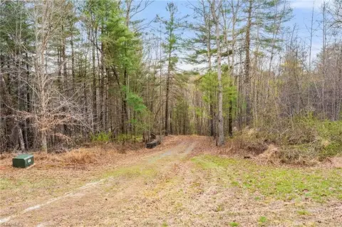 Wooded Hunting Land with Cabin