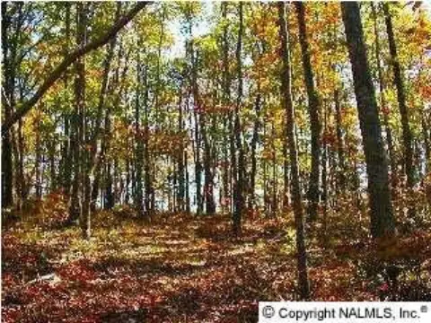 Gurley, AL Wooded Acreage