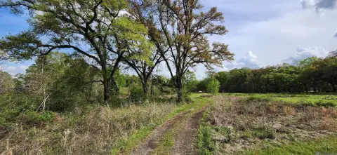 Retail Opportunity in Growing Area