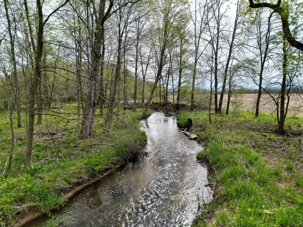 Picture 8