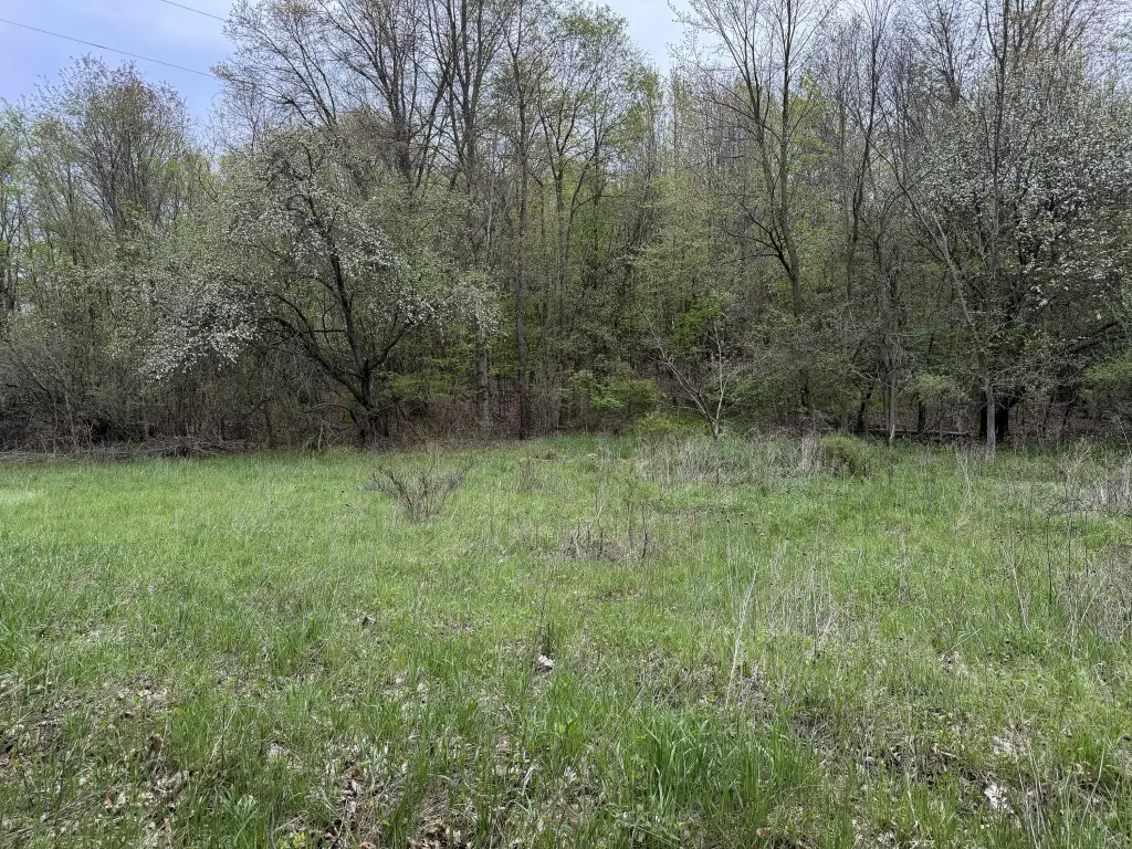 Picture 14