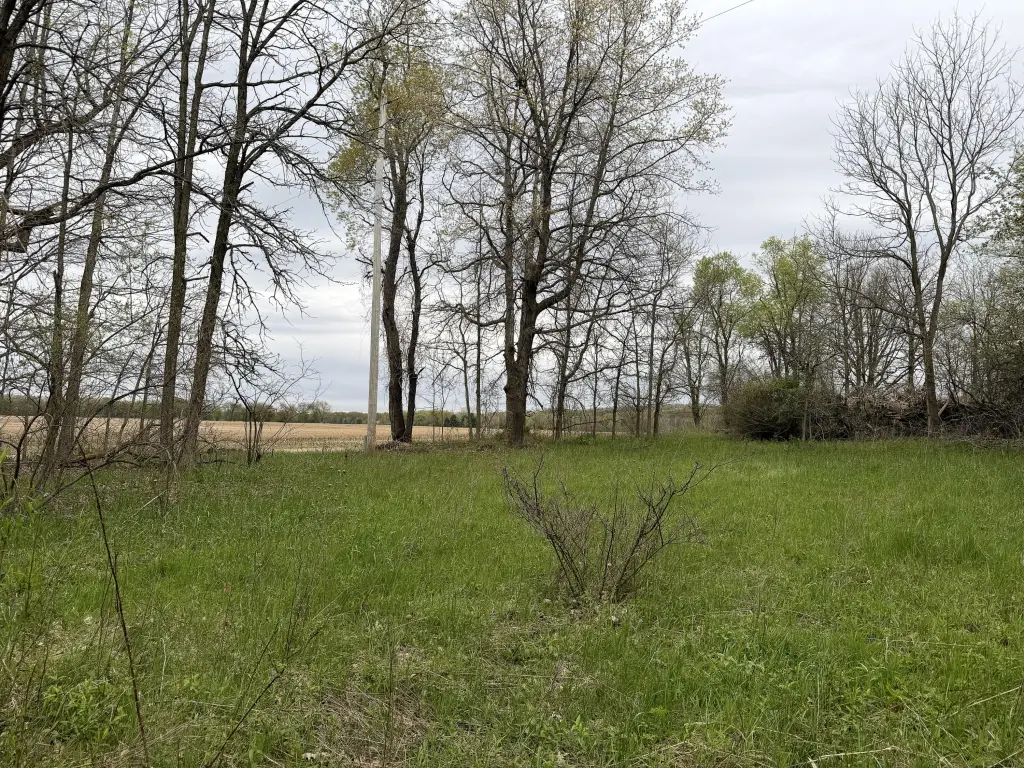 Picture 15