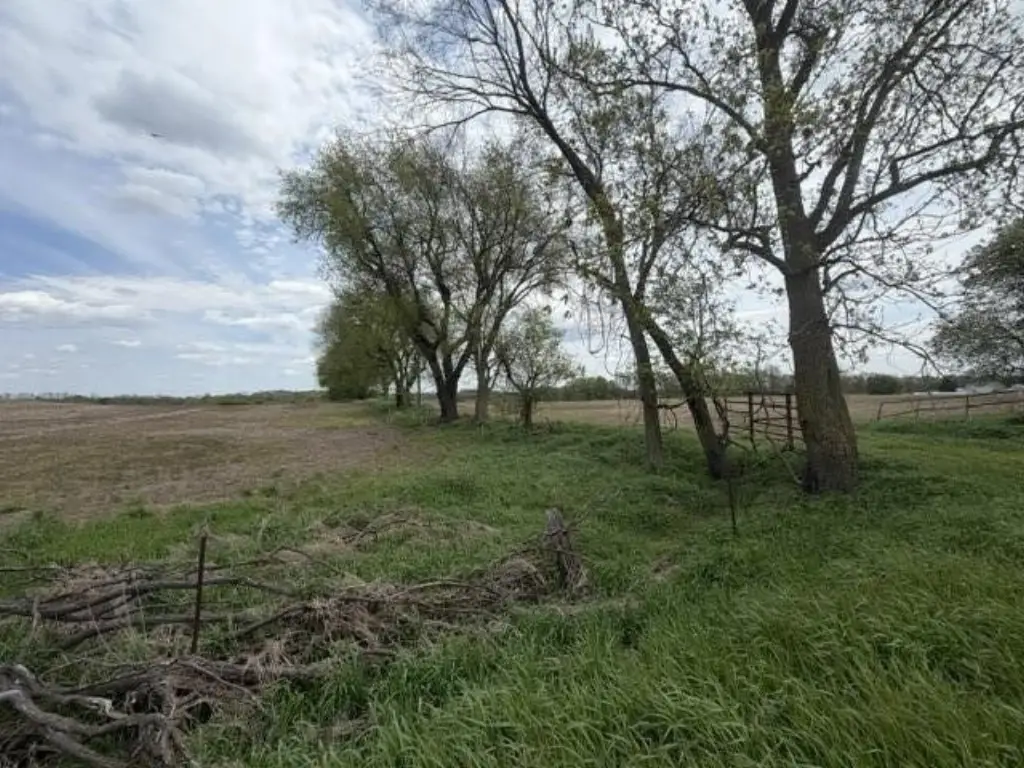 Picture 6