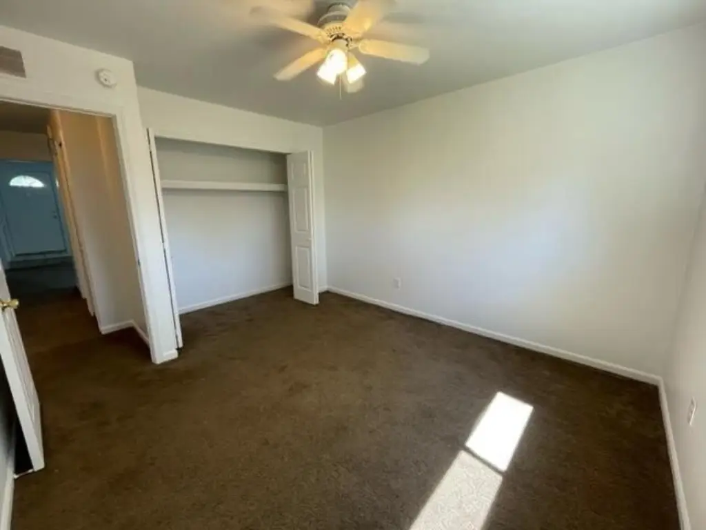 Picture 2
