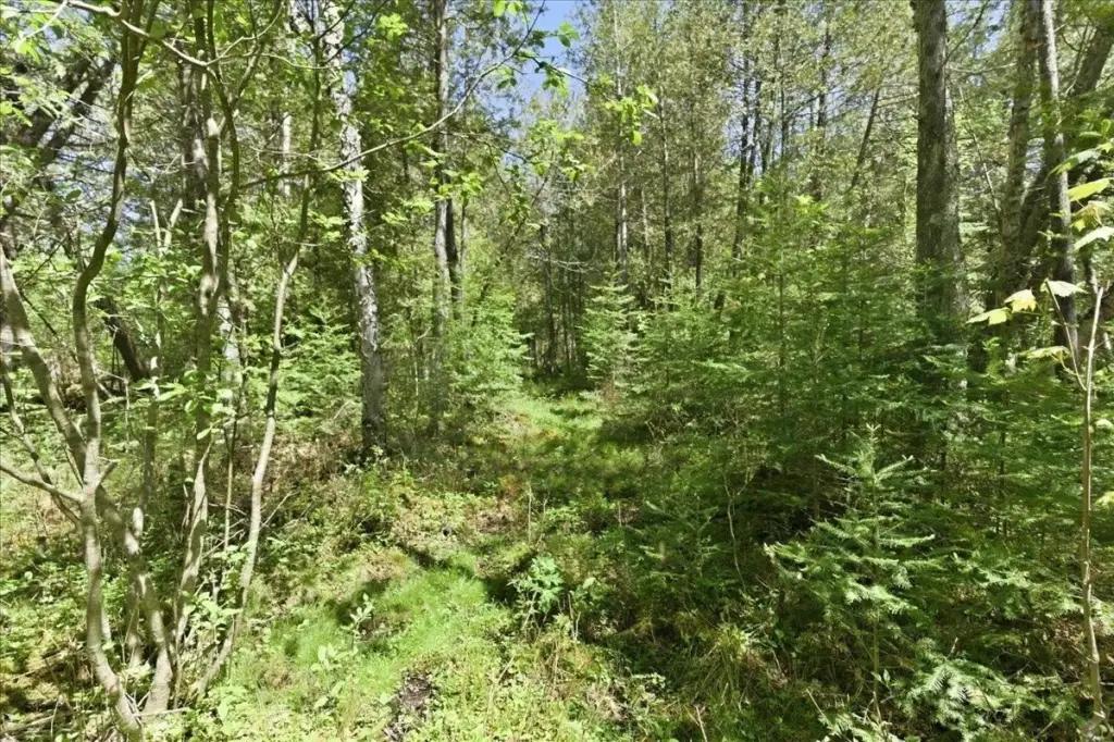 Picture 31