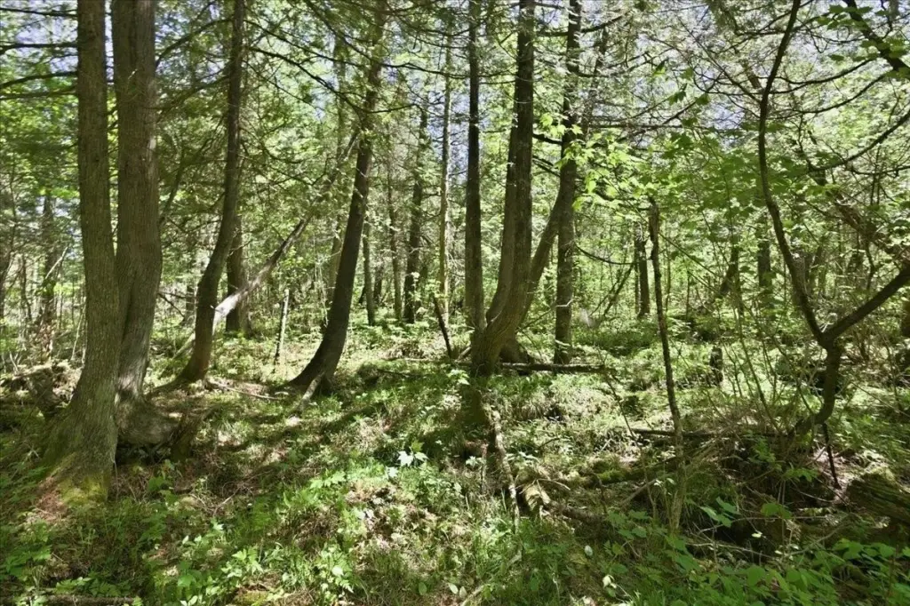 Picture 30